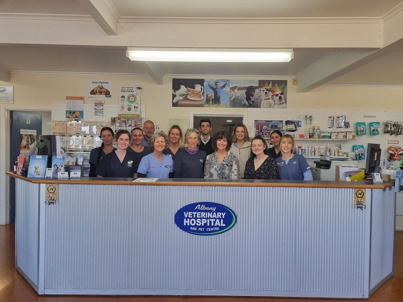 Albany Veterinary Hospital Veterinary Hospital Group